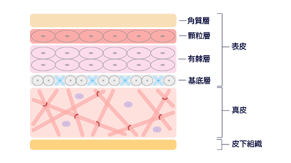 ピコフラクショナル